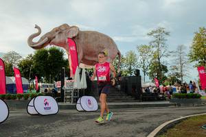 BIB: 
                            <button type="button" onclick="openModal(26529215)" class="btn btn-primary btn-sm float-right btn-popup" data-toggle="modal" data-target=".modal-high-quality">
                        <i class="fas fa-shopping-cart"></i> Add to Cart
                    </button>
                                            <button type="button" onclick="isThisMe(26529215, true)" class="btn btn-success btn-sm float-right btn-popup btn-isme hidden" data-toggle="tooltip" data-placement="bottom" title="นี่คือรูปของคุณใช่ไหม คลิกที่นี่เพื่อเอาเข้าอัลบั้ม">
                        <i class="fas fa-plus"></i> Add to album
                    </button>
                    <button type="button" onclick="isThisMe(26529215, false)" class="btn btn-warning btn-sm float-right btn-popup btn-isnotme hidden">
                        <i class="fas fa-ban"></i> Remove from album
                    </button>